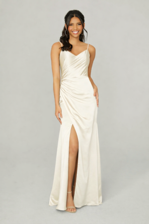 VESTIDO LISA